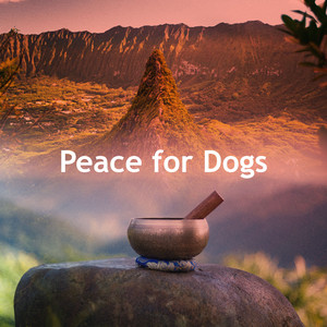 Peace for Dogs