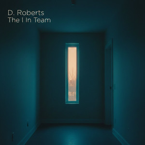 Now I See by D. Roberts