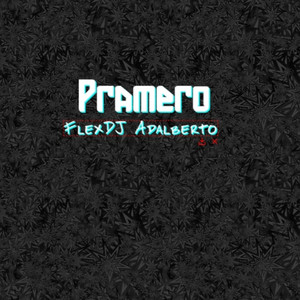 FlexDJ Adalberto - Pramero