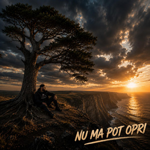 NU MA POT OPRI by Leo TC