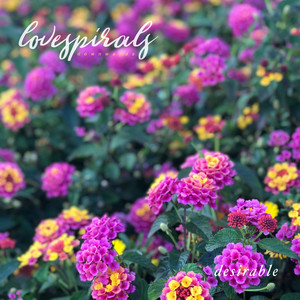 Desirable by Love Spirals Downwards