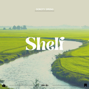 Shelf by Doroty Spring