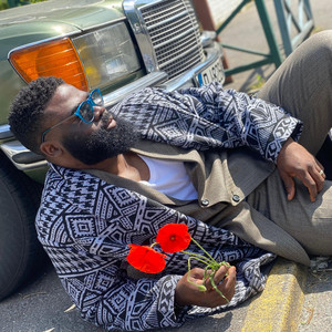 DImiart - Kolo_vivina