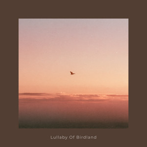 Lullaby Of Birdland by Laszlo Teofil
