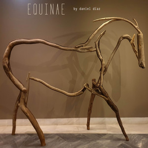 Equinae by Daniel Diaz
