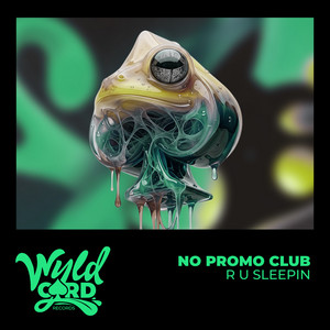 R U Sleepin - Radio Edit by NO PROMO CLUB, Raffi Habel, Cizzzla