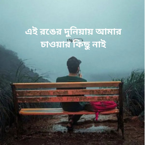 এই রঙের দুনিয়ায় আমার চাওয়ার কিছু নাই