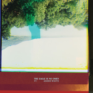 The eagle is no omen by Asher White