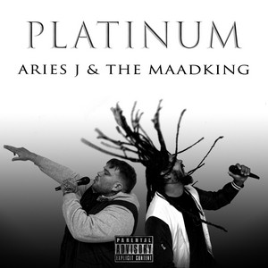 Keep It Skanking by Aries J