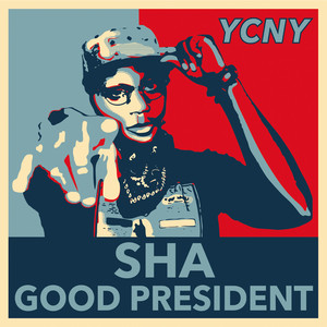 Good President - Reggae Remix by Sha