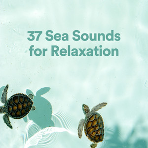 37 Sea Sounds for Relaxation album