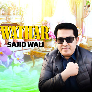 Sajid Wali - Dil Satar Dardeg Bebi