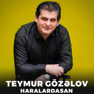 Teymur Gözəlov - Haralardasan