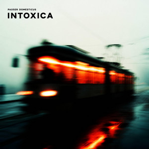 Intoxica by Passer Domesticus