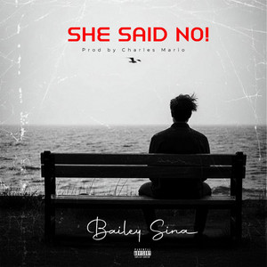 She said no by Bailey sina