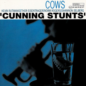 Cunning Stunts cover