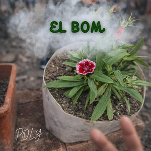 El bom by POLY
