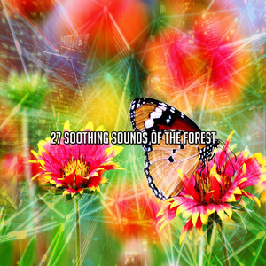 27 Soothing Sounds of the Forest album