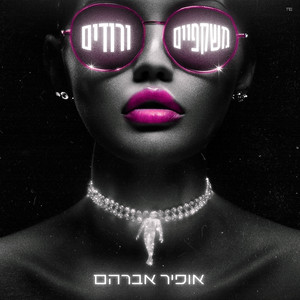 אופיר אברהם - משקפיים ורודים
