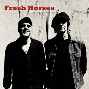 Going Down Hard, Going Down Fast by Fresh Horses