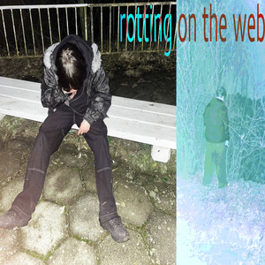 rotting on the web by satuko
