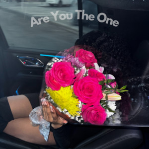 vvskeem - Are You the One