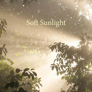 Soft Sunlight by Foxmire Drift