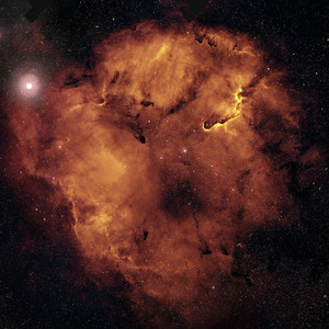 JF Produce - Home Run