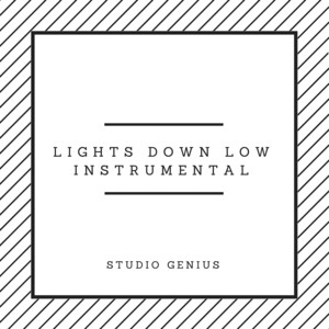 Lights Down Low (Originally by MAX)