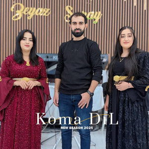 Koma Dıl Aycan Baran - Kınee