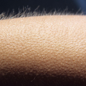 Sterlingouttapocket - Goosebumps