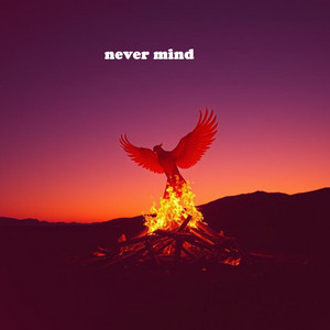 never mind by Risa