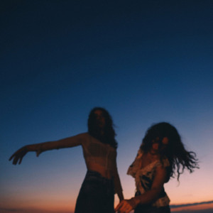 Flight Risk by Tommy Lefroy