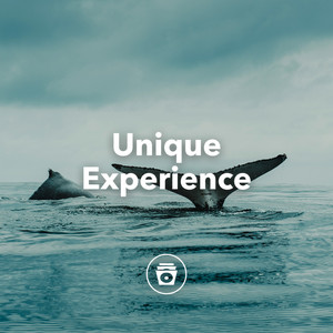 Unique Experience