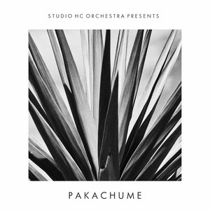Dimitri by Studio HC Orchestra