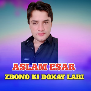 ZRONO KI DOKAY LARI