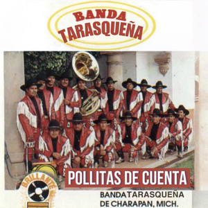 Pollitas de Cuenta