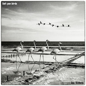 Salt Pan Birds - Piano solo by Joe Siciliano