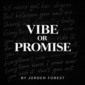 Vibe or Promise by Jorden Forest