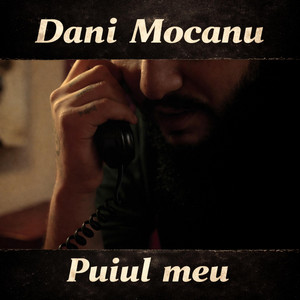 Dani Mocanu - Puiul meu