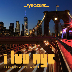 I Luv NYC (You Got What I Want) by Synacure