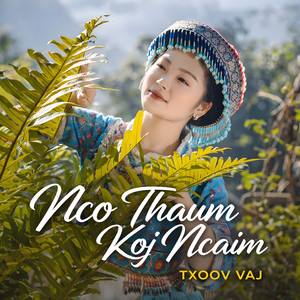 Txoov Vaj - Nco Thaum Koj Ncaim