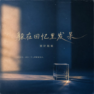 躲在回忆里发呆 - 烟嗓版 by 别针姐姐