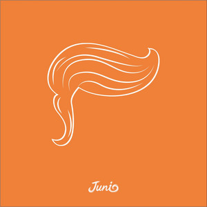 Donald Trump by Junio