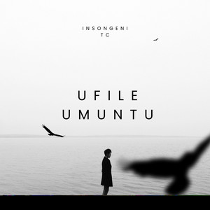 Ufile umuntu by Insongeni Tc