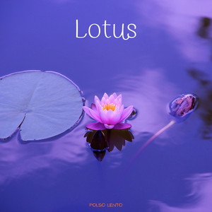 Lotus by Polso Lento