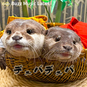 デュバデュバ by BML