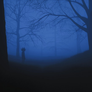 lost in the forest by The Void Wanderer