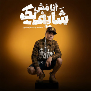 حمو المرشدي - أنا مش شايفك (أنا السالك وأنا السهم المنطلق)