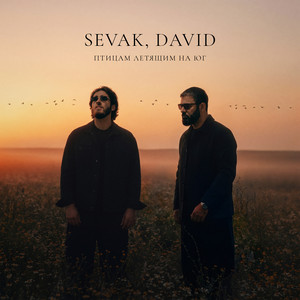 Птицам летящим на юг by Sevak, DAVID